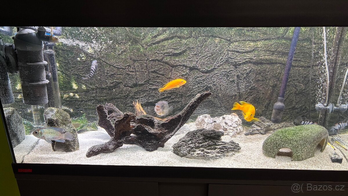 Akvárium - 3