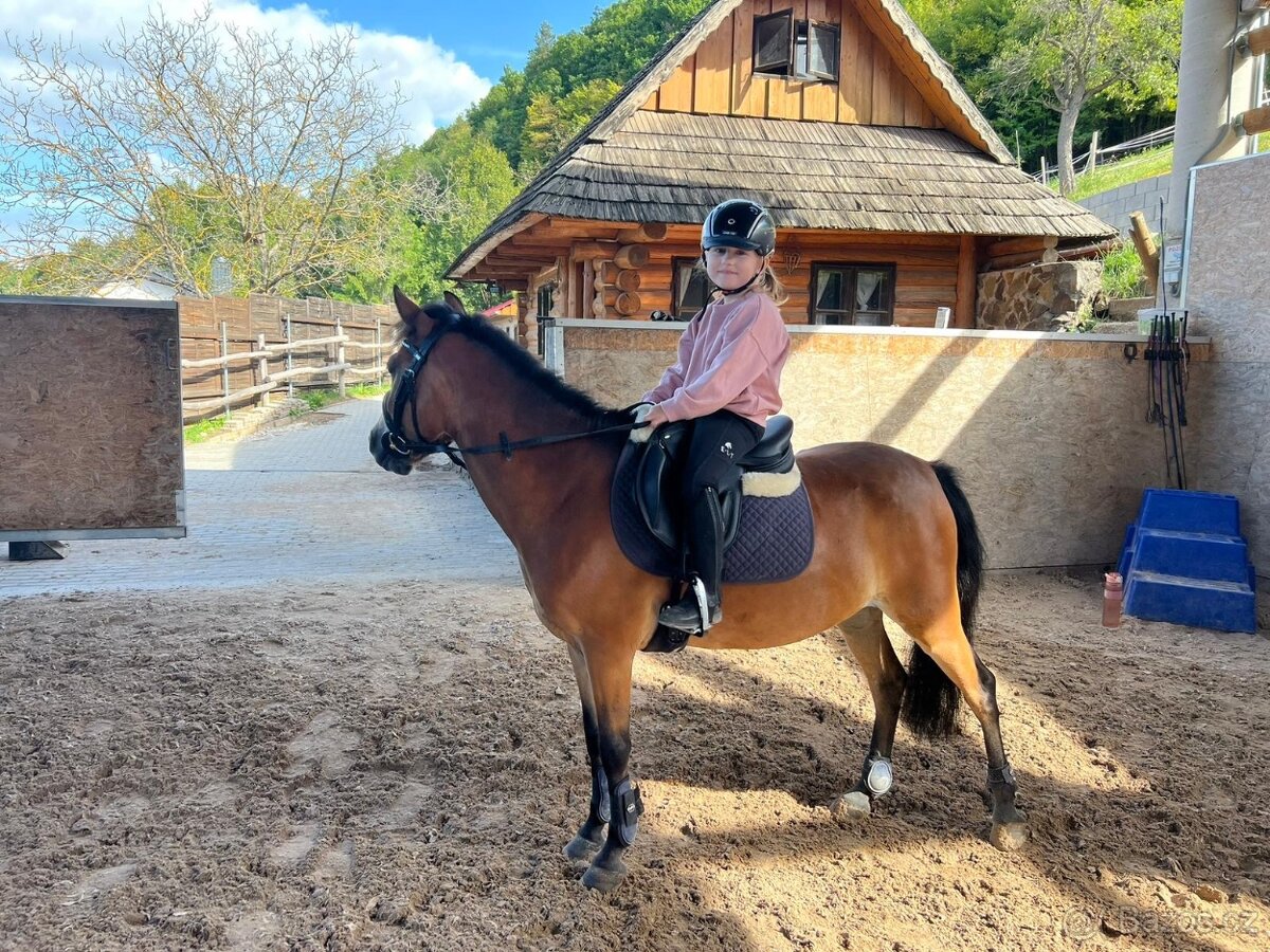 Predam S pony do sportu - 3