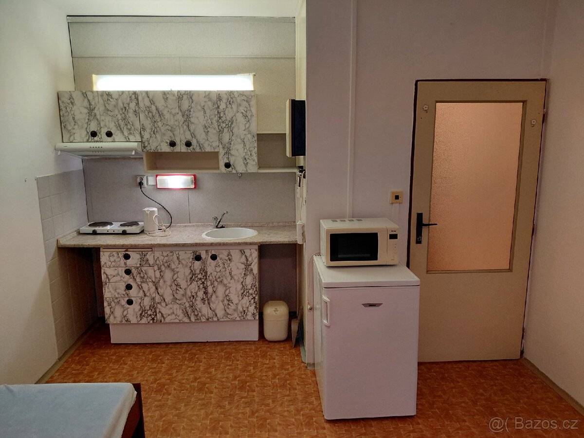 Pronajmu garsonku - 3