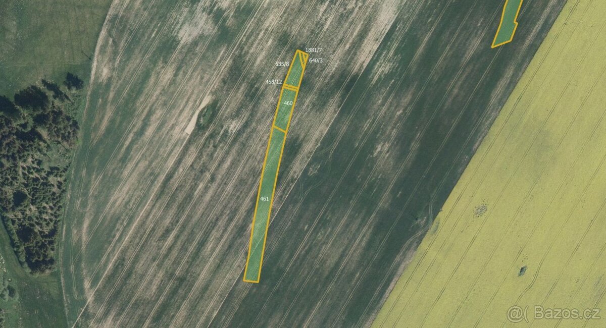 Zemědělská půda, prodej, Nové Vyklantice, Vyklantice, Pelhři - 3