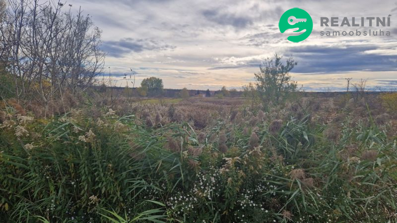 Pozemek ke stavbě Dubňany - 3