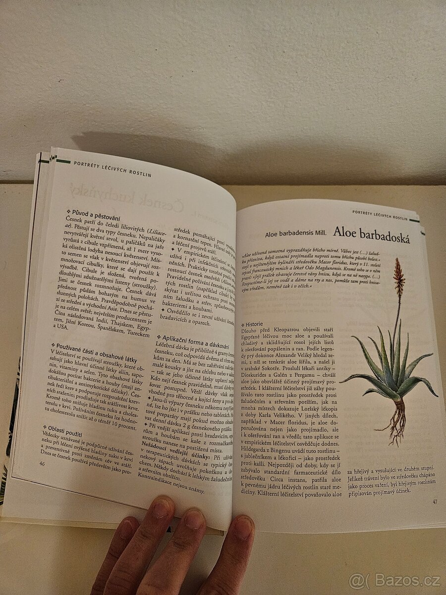 Bylinky z klášterní lékárny - 3