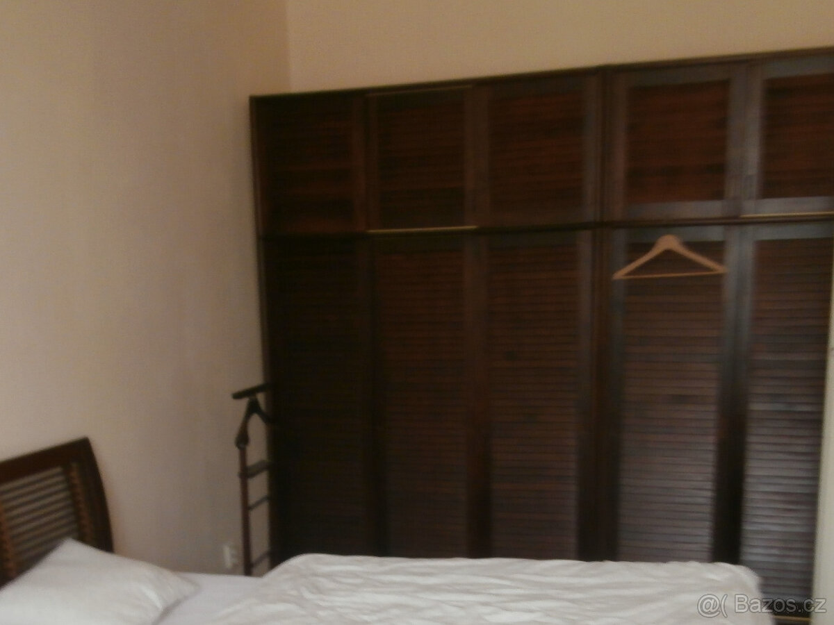 Prodám dřevěné žaluziové dveře - 3