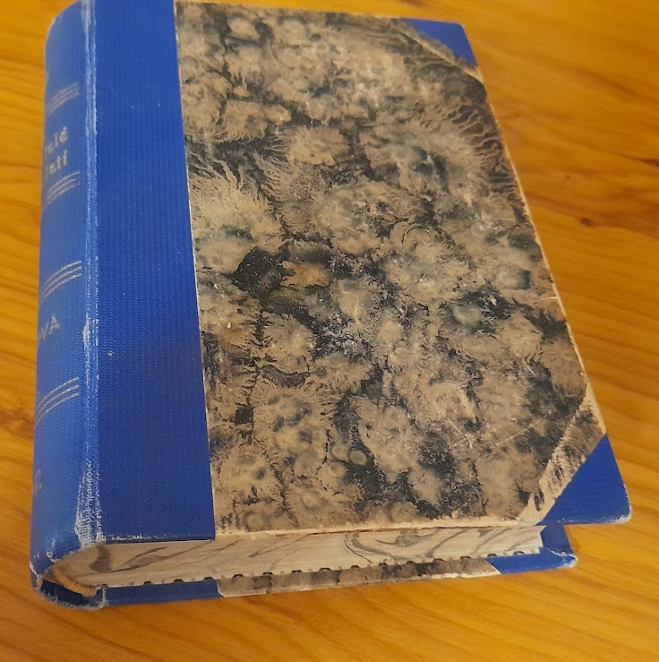 Čeští spisovatelé XIX. stol. B. NĚMCOVÁ - 3