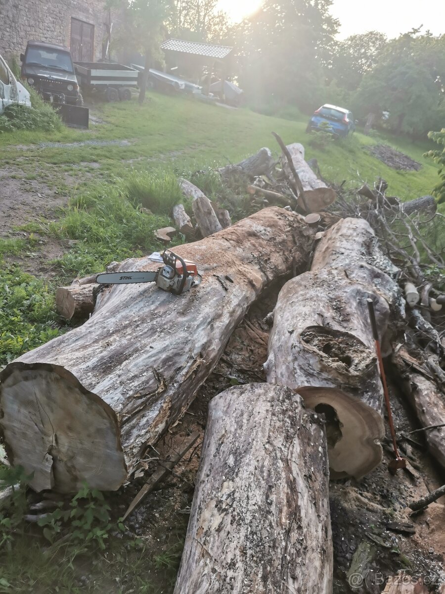 Koupím kmen Ořechu, Jilmu - 3