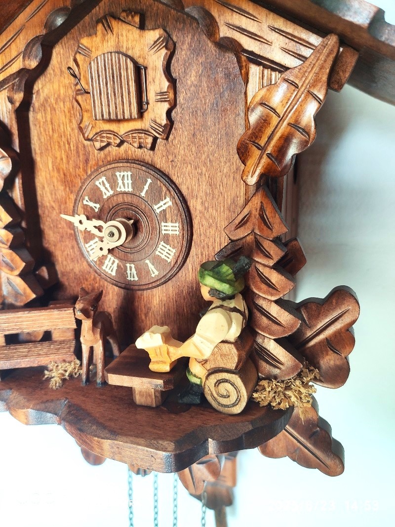 Hezke, kukacky, Schwarzwald - 3