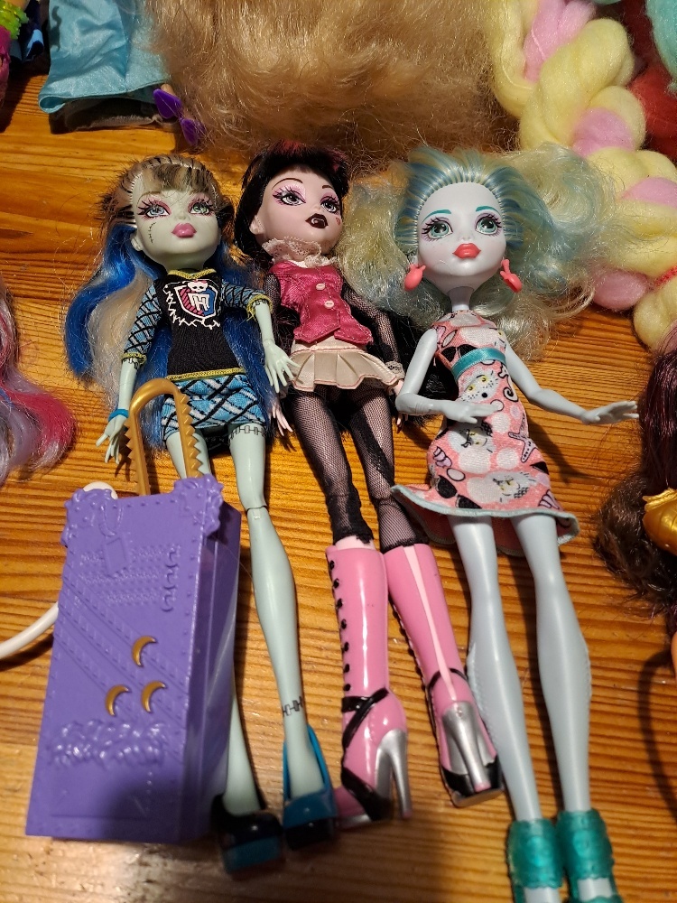 Panenky monster high a různé - 3