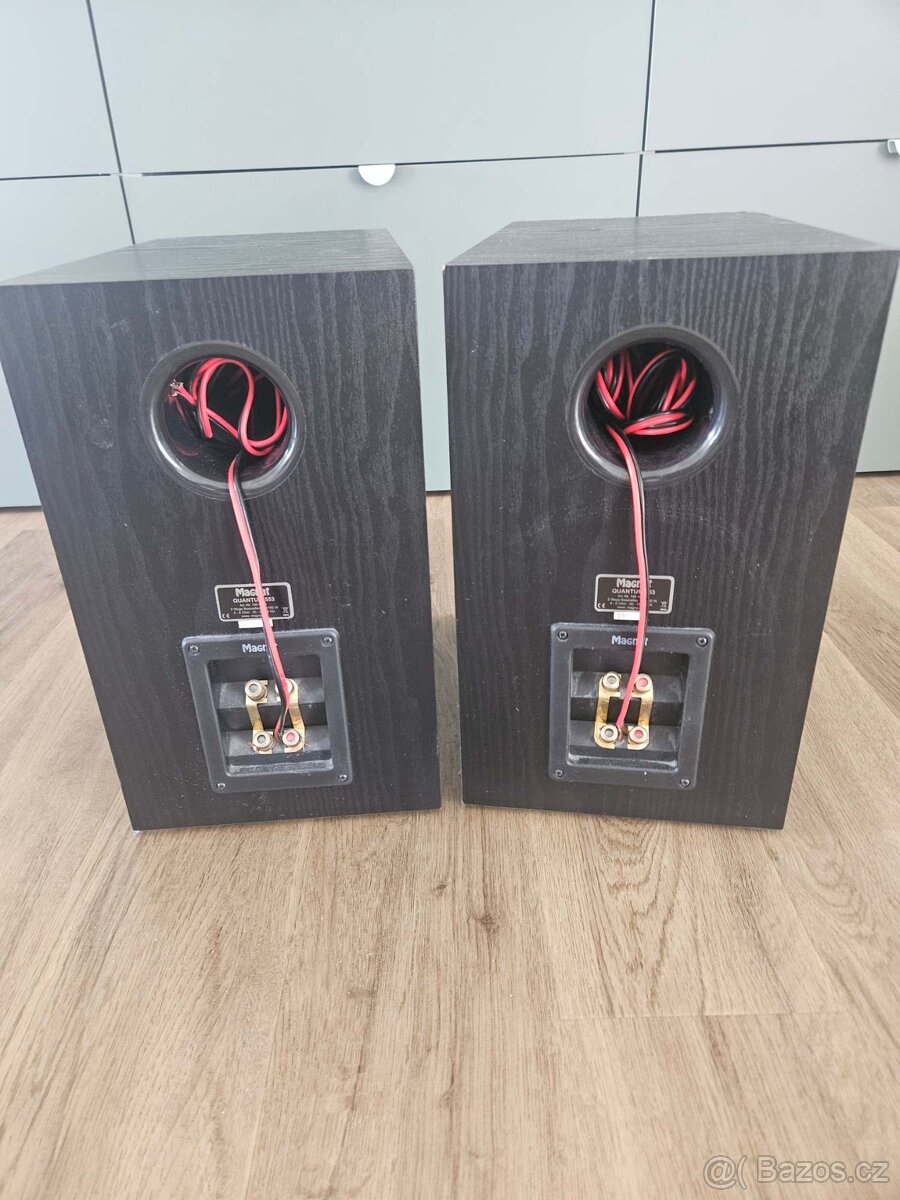 Magnat Quantum 553+ Receiver Technics SA-AX 530 - 3