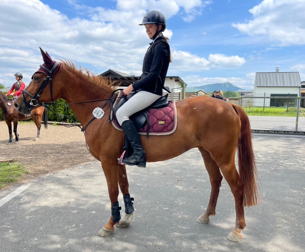 Pony klisna kategorie B - 3