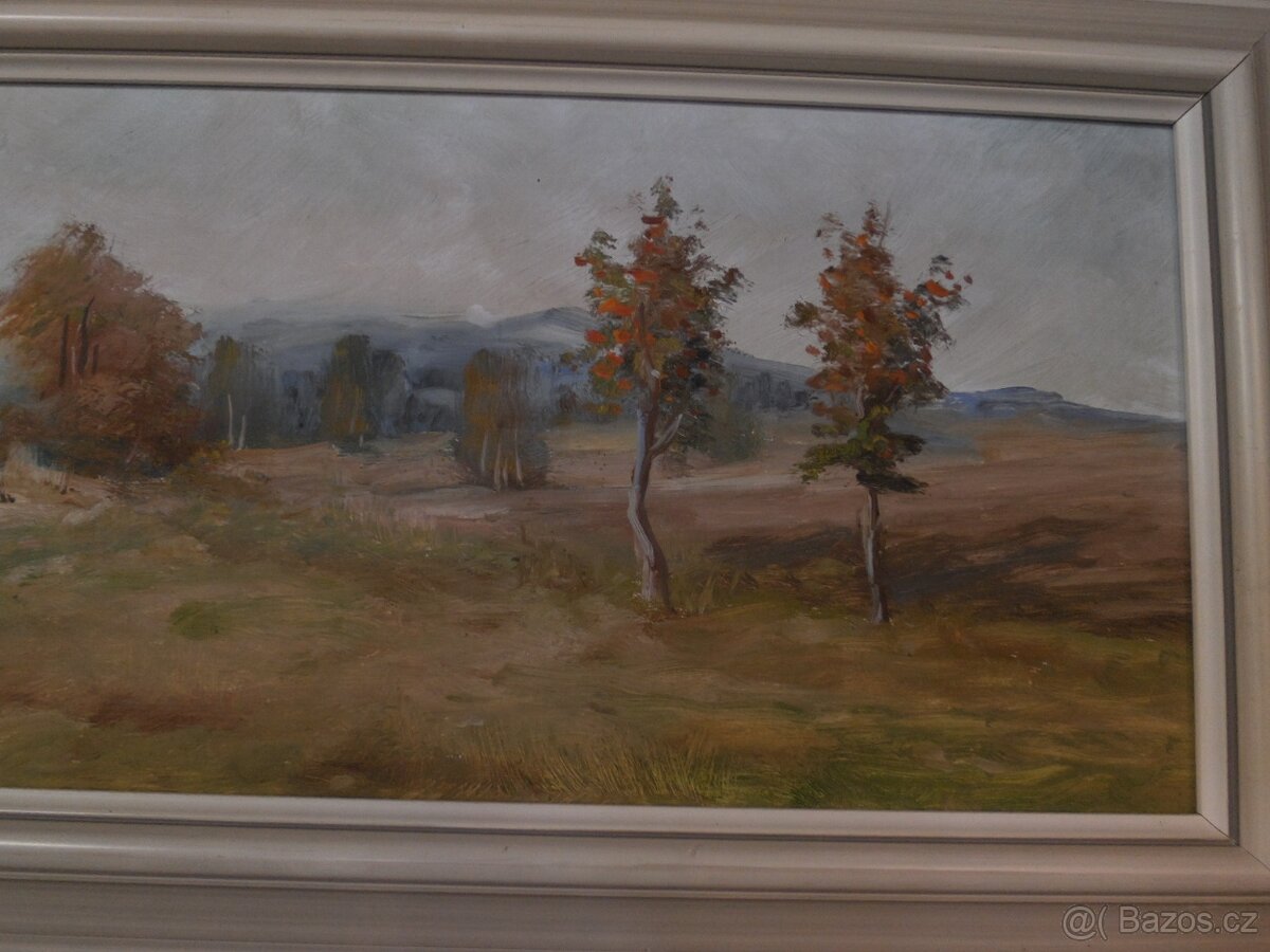 Jeřáby Vysočiny, Slávek Vařejčka 10.1.1935 Vítanov - 3