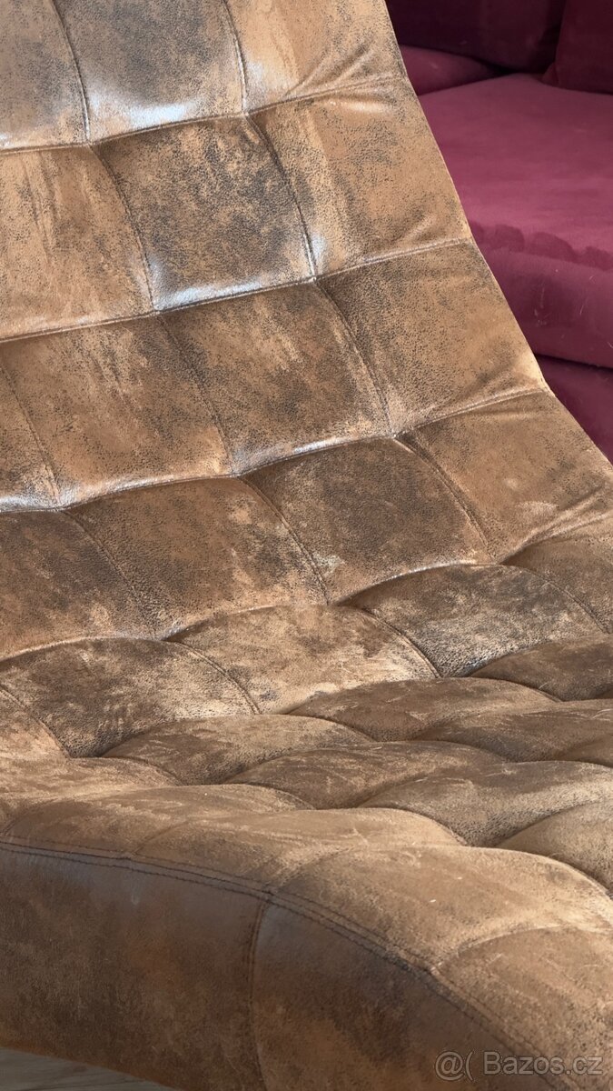 Zebra Interior Couch - 3