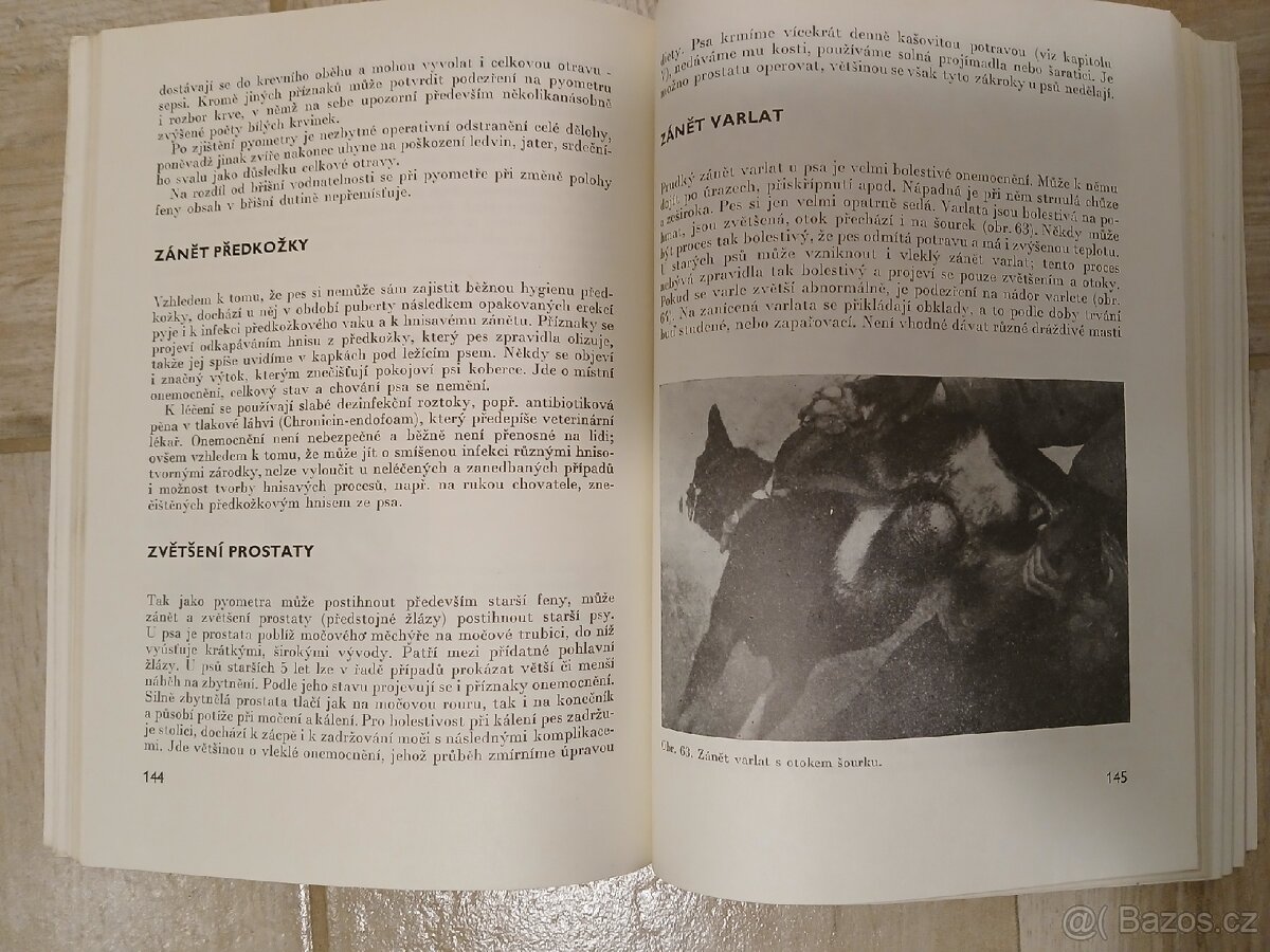 Knihy o psech - 3
