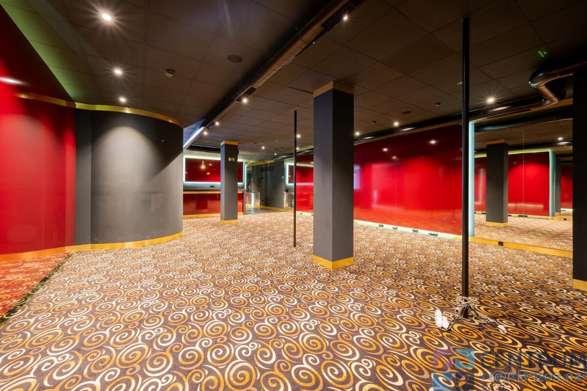 Pronájem komerčních prostor 264m2 - 3