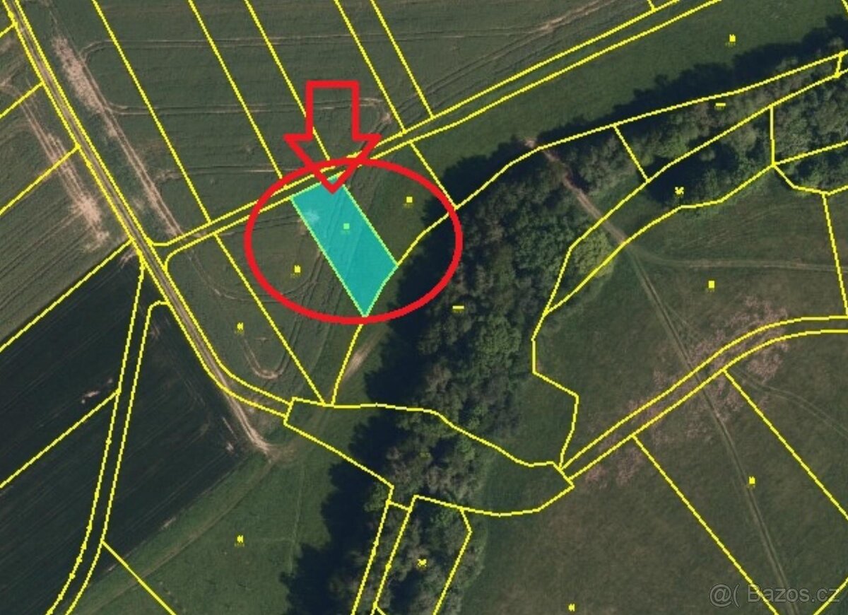 Prodej lesních pozemků v k.ú. Lhota u Lipníka nad Bečvou - 3