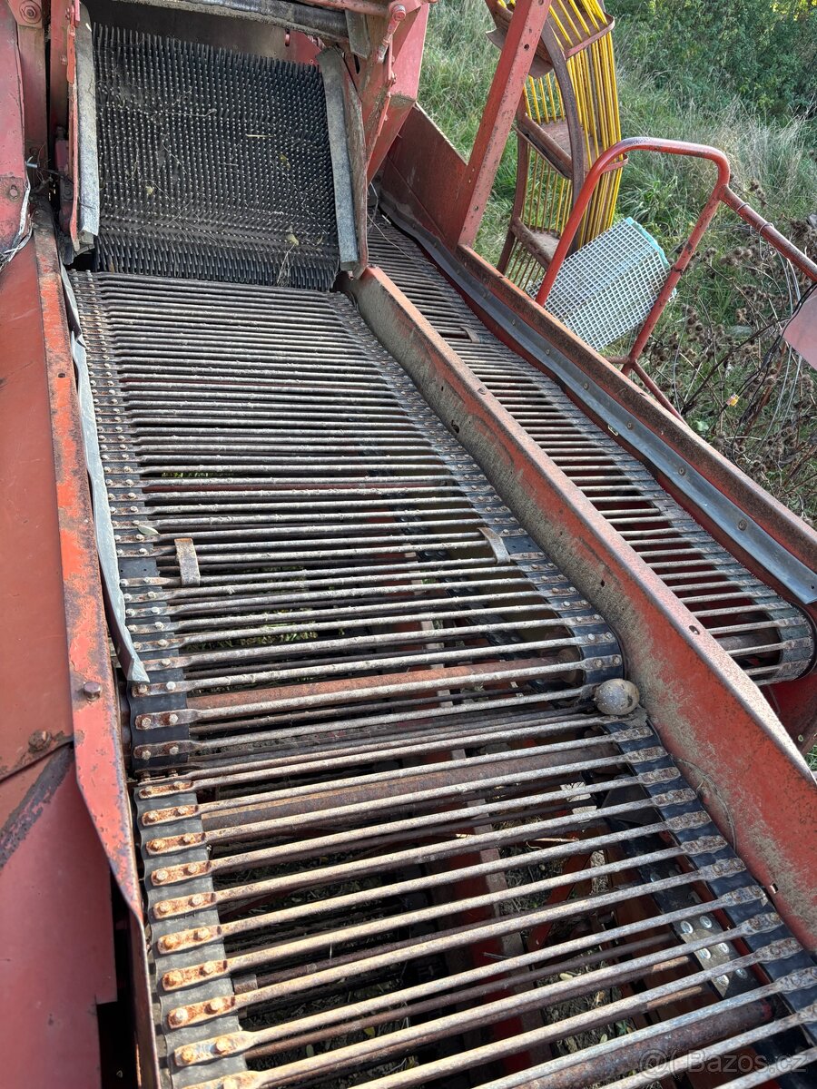 Grimme Europa standart - 3