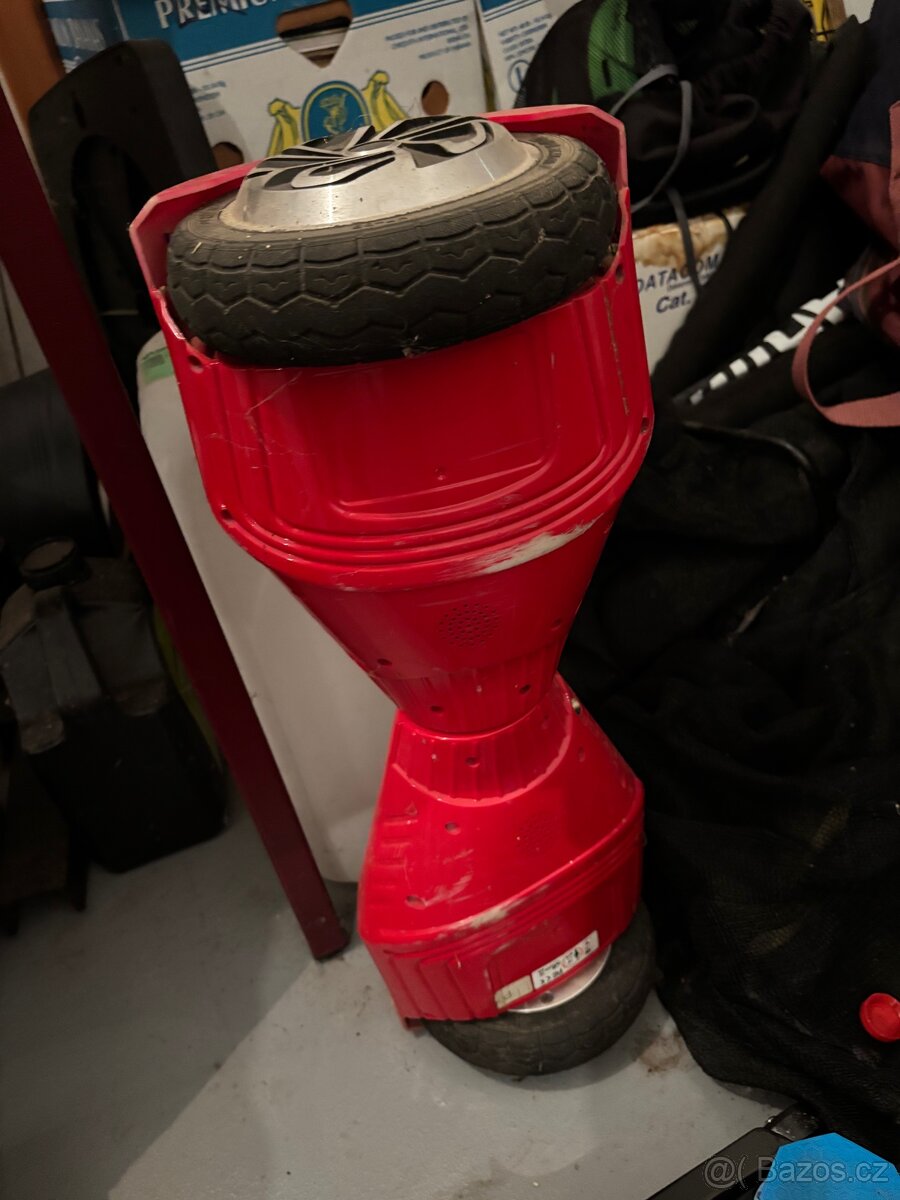 Prodám 3 sagweje - 3