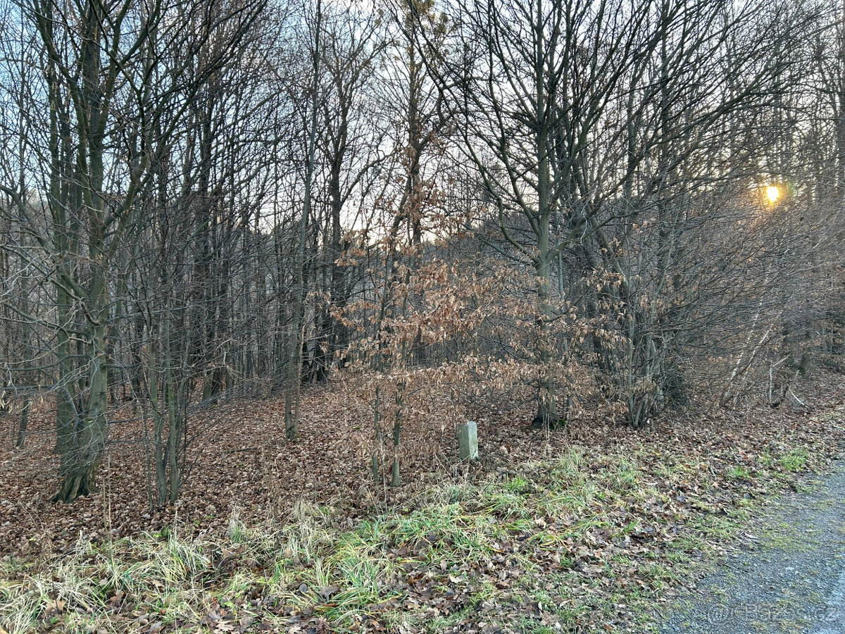 Prodej pozemku Rožnov pod Radhoštěm - 3