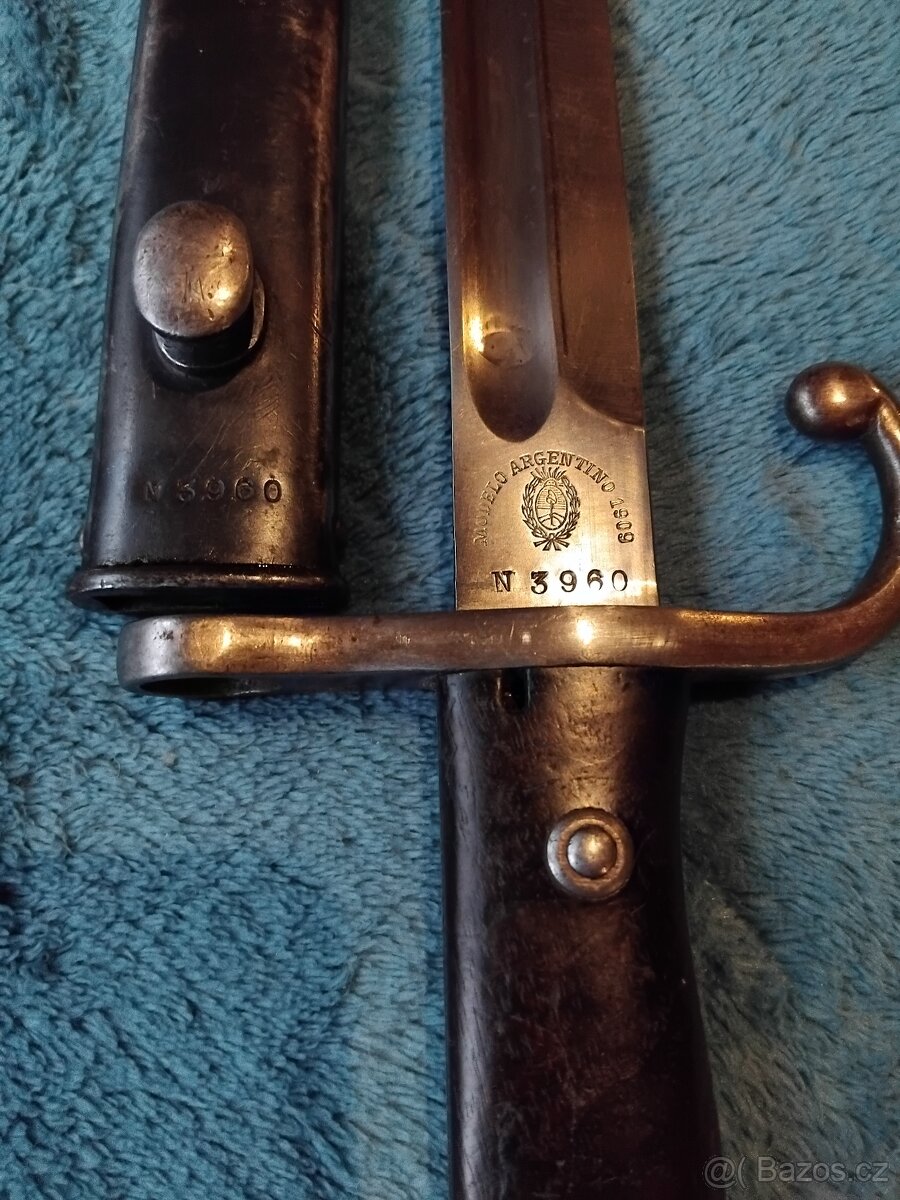 Argentinský bodák - 3