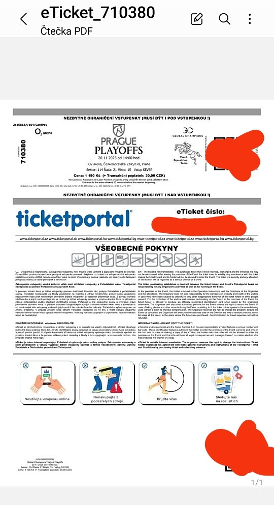 Prague Playoffs 20.11 - 3