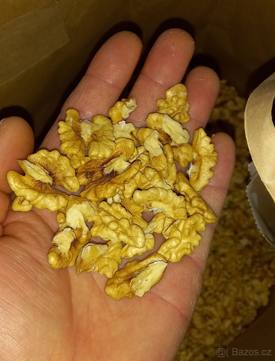 Ořechy vlašské jádra 2025 i červené jádra - 3