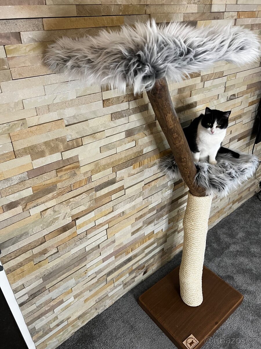Škrabadla pro kočky - 3