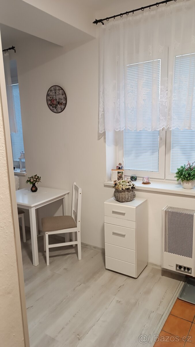 Pronájem bytu 1+kk - 3