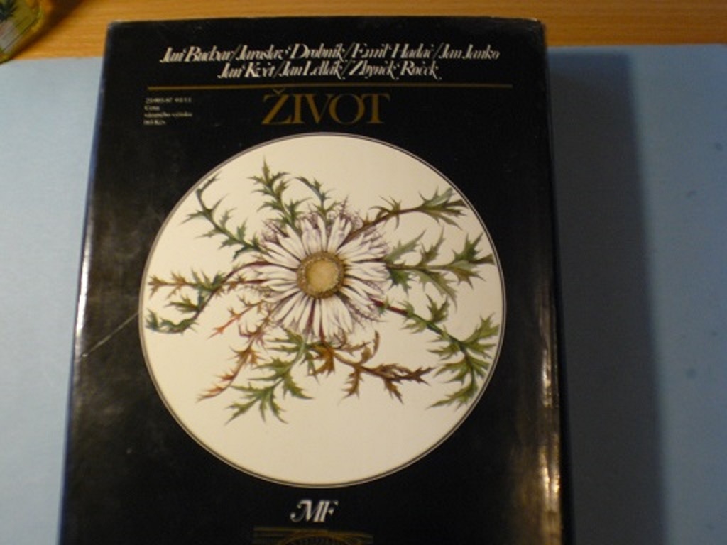 Jan Buchar - ŽIVOT - 3