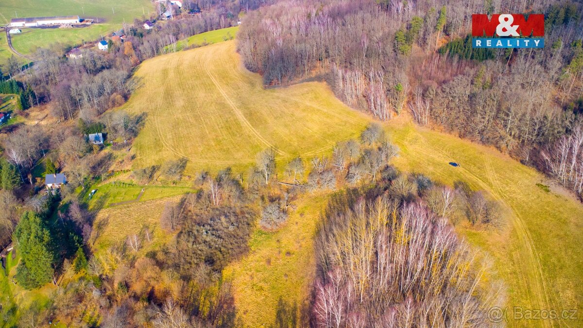 Prodej louky, 3251 m², Radeč u Horní Police, Žandov - 3