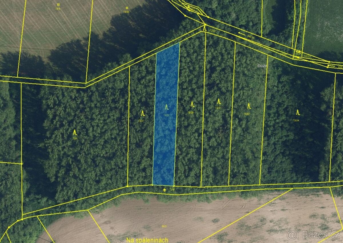 Prodám lesní pozemek v k.ú. Kdanice - 3