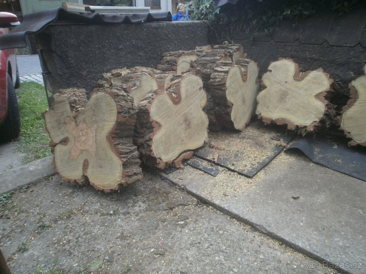 řezy kmenů dekorace - 3