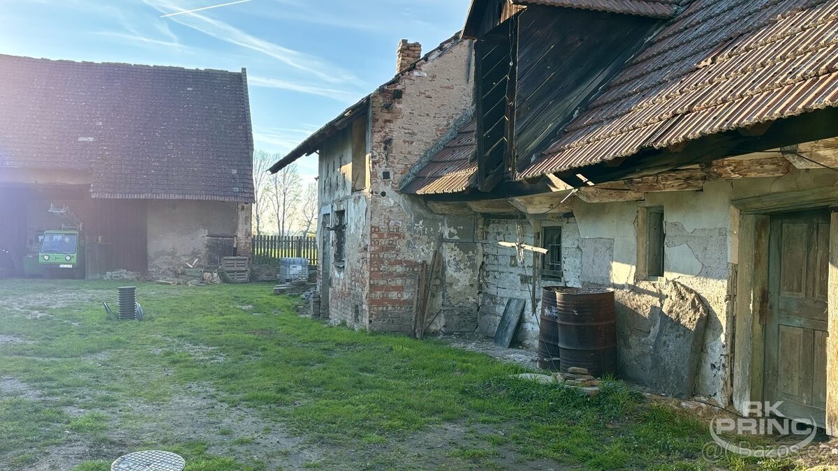 Prodej krásného stavebního pozemku u Poděbrad 1145 m2 - 3