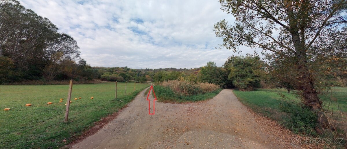 Hustopeče u Brna (907 m2) - 3