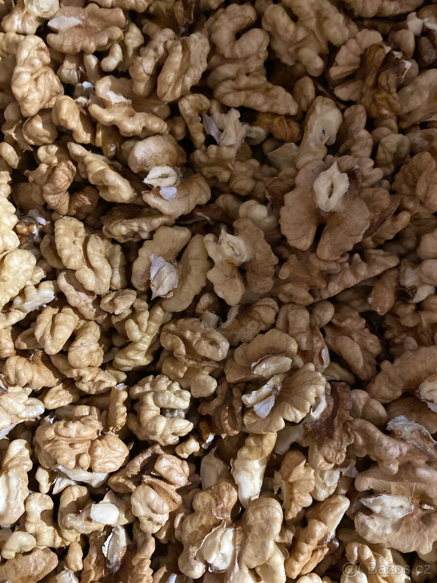 Vlašské ořechy - 3