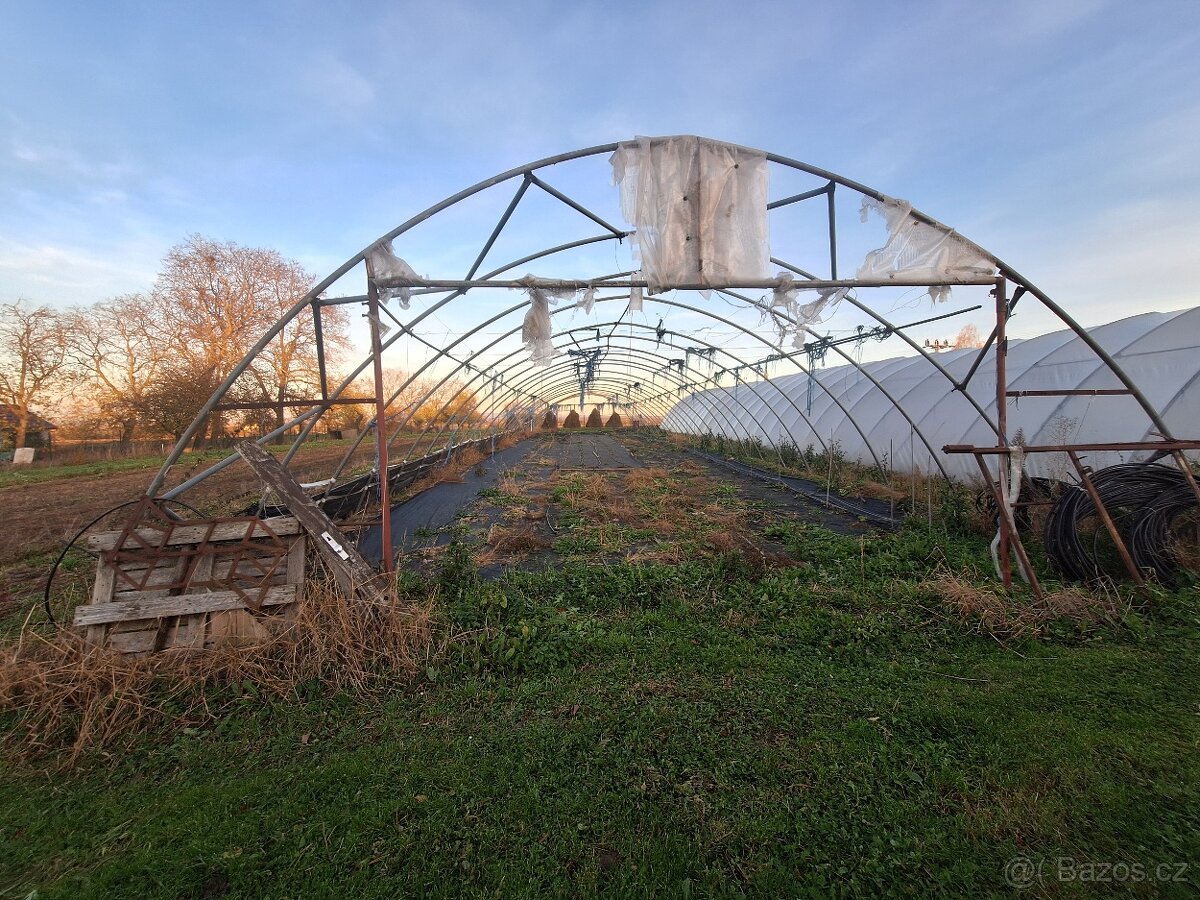 Foliák,foliovník. - 3