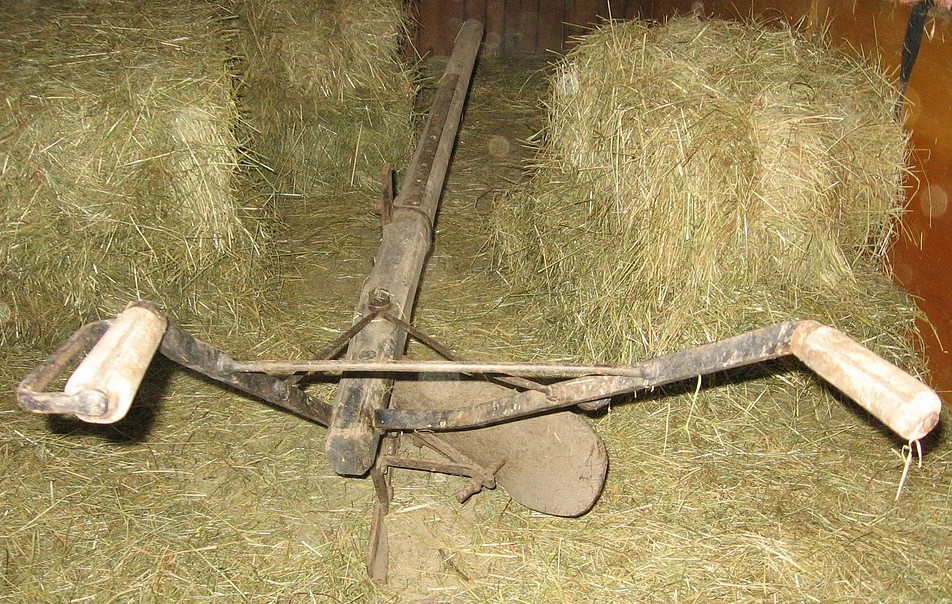 Pluh-koňský - 3