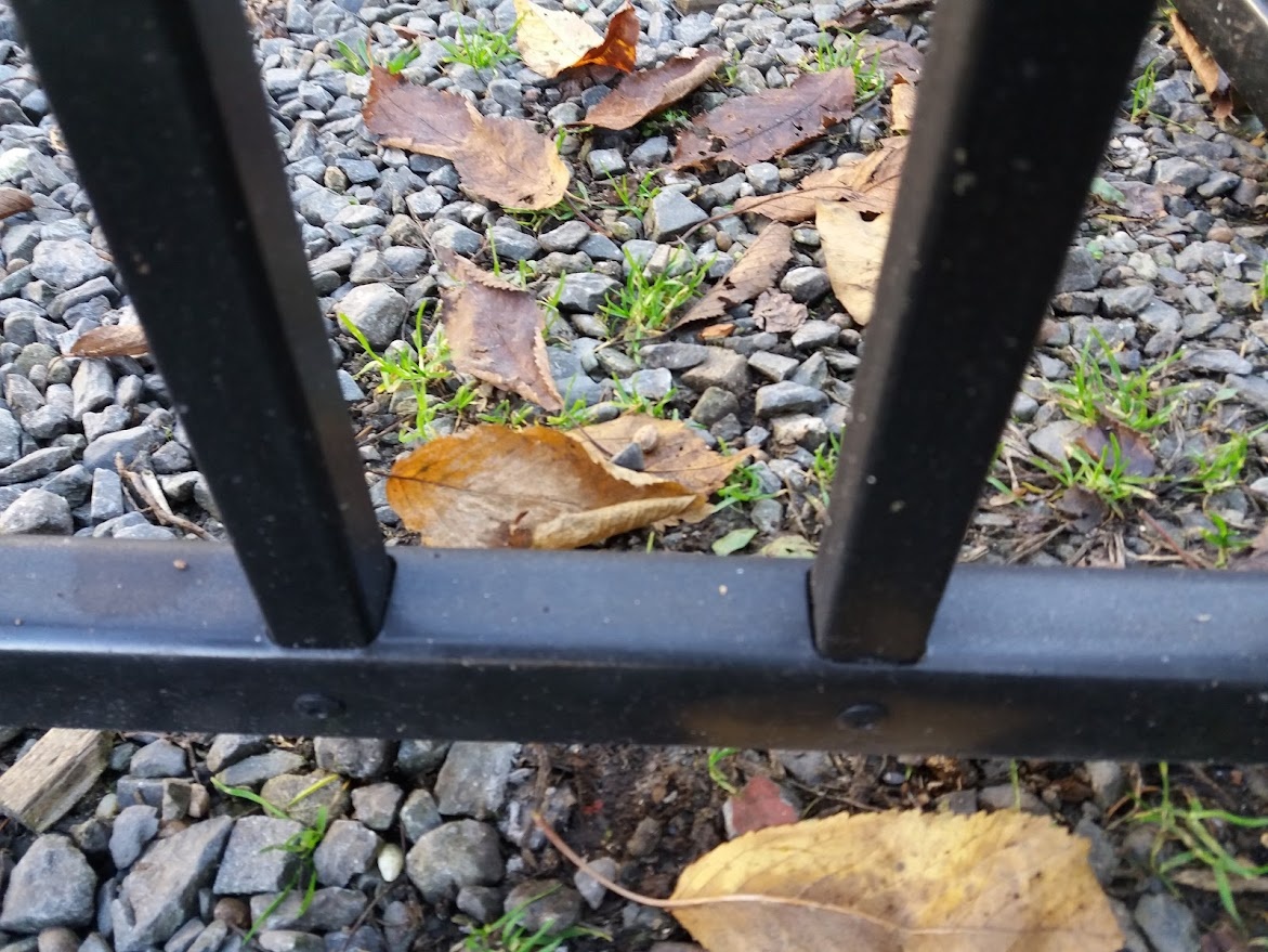 Kotec pro psa 3 x 2 m - 3