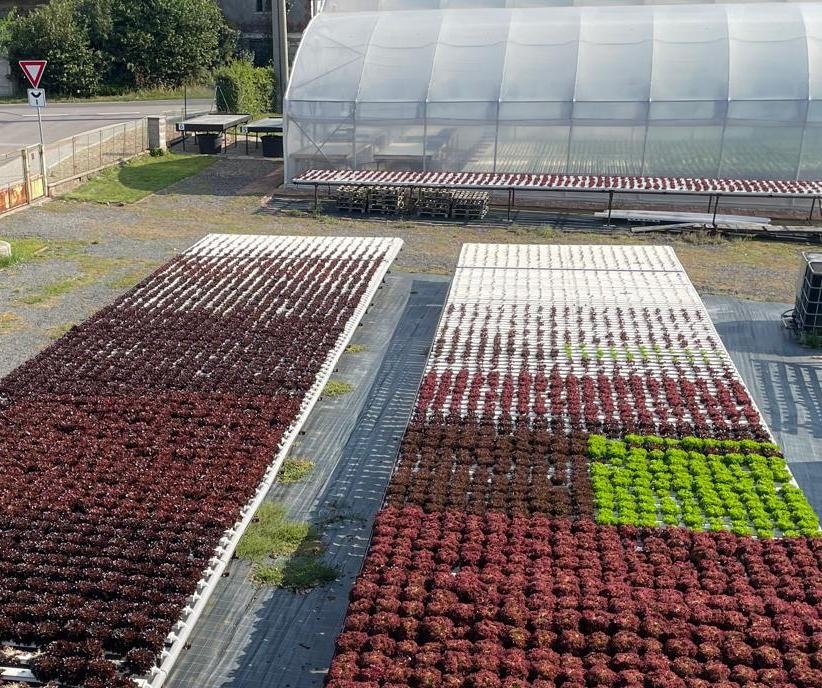 NFT žlab/kanál s koncovkou a kolenem - 3