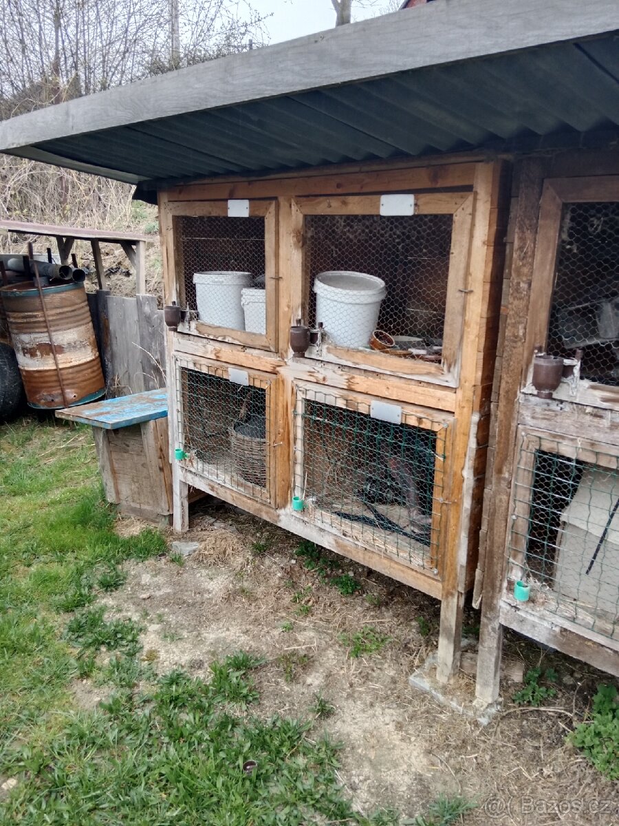 Králíkárna - 3