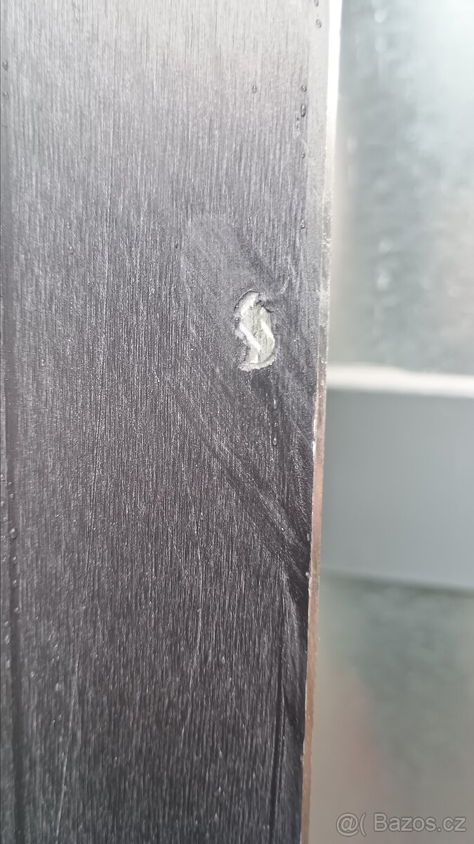 Prodám lyže Salomon a lyžáky Tecnica vel.45 i samostatně. - 3