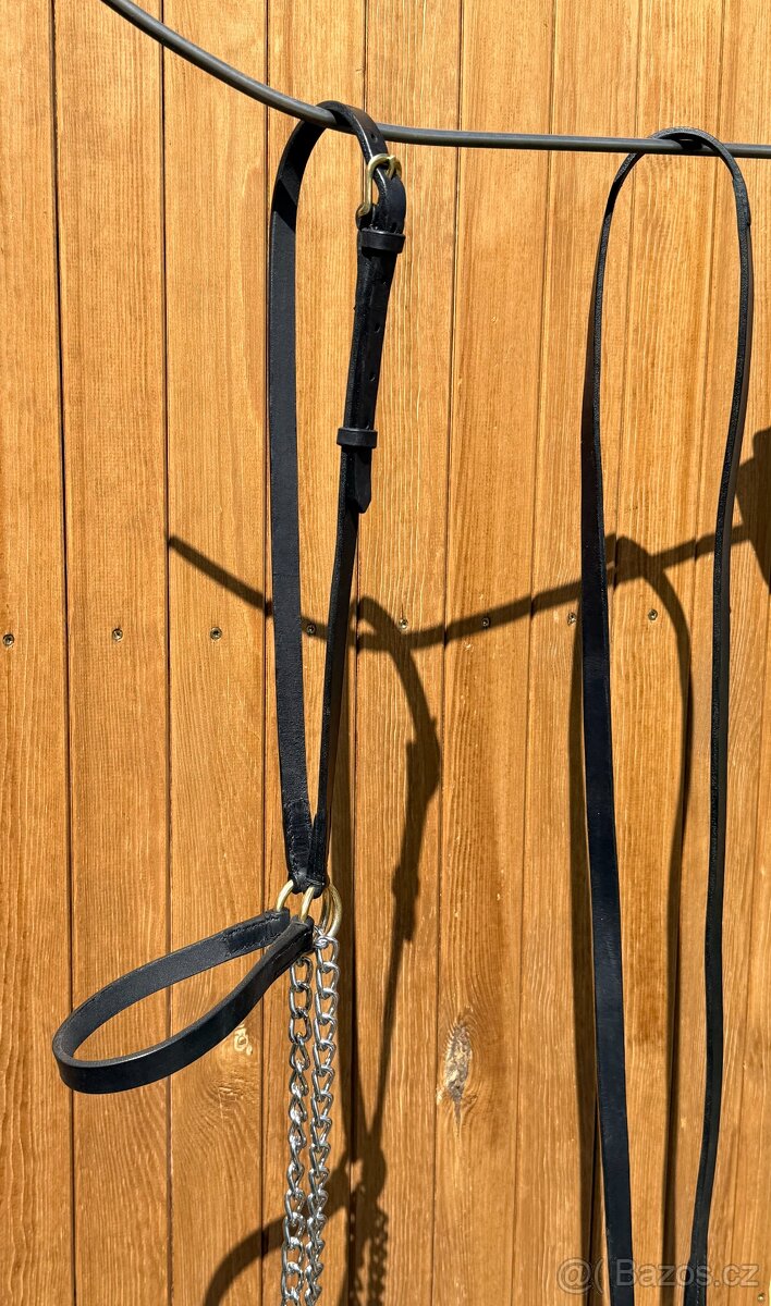 Výstavní ohlávka s vodítkem - 3