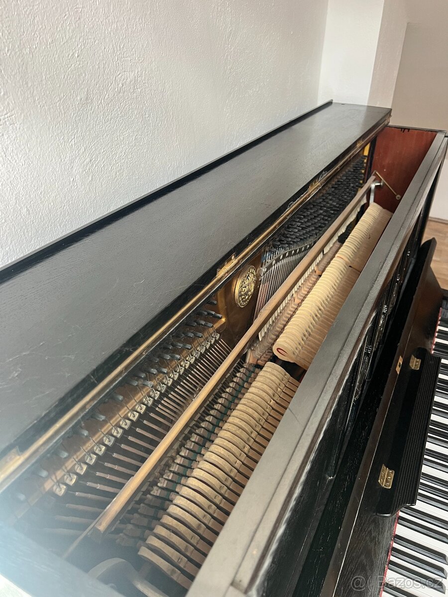 Prodam piano HOFMANN - 3