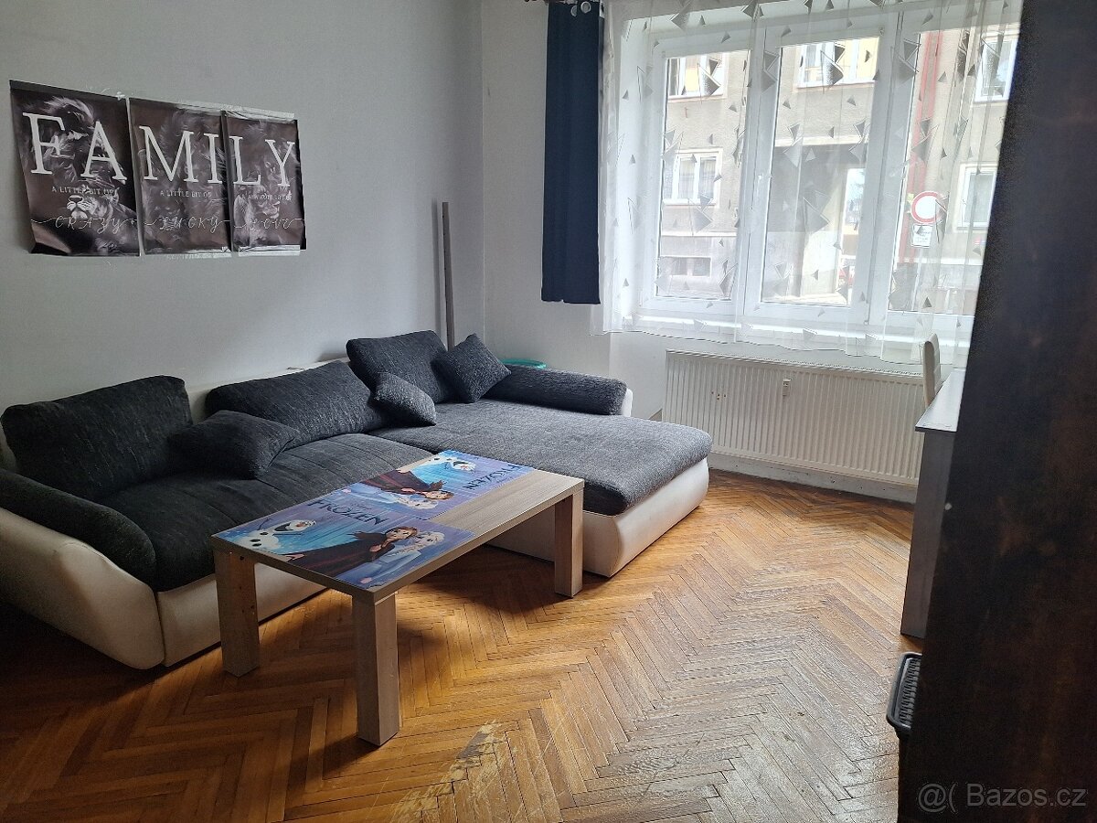 Pronájem bytu 3+1 v Písku - 3