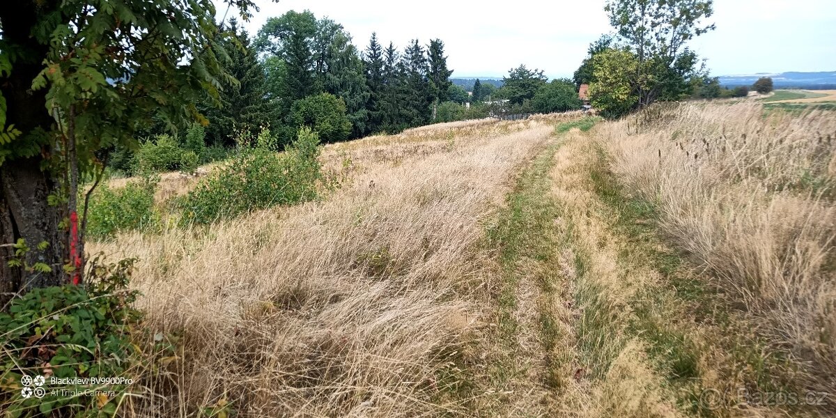 Prodej pozemku v k.ú. Mikuleč - 3