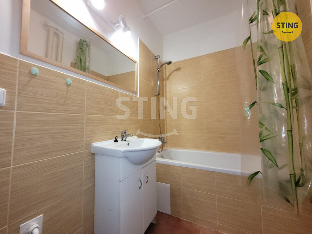 Pronájem bytu 1+1, ul. Zeyerova, Moravská Ostrava, O, 134184 - 3