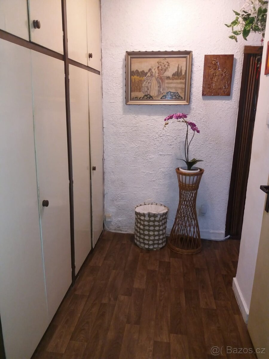 1+1 ul Hašková - 3