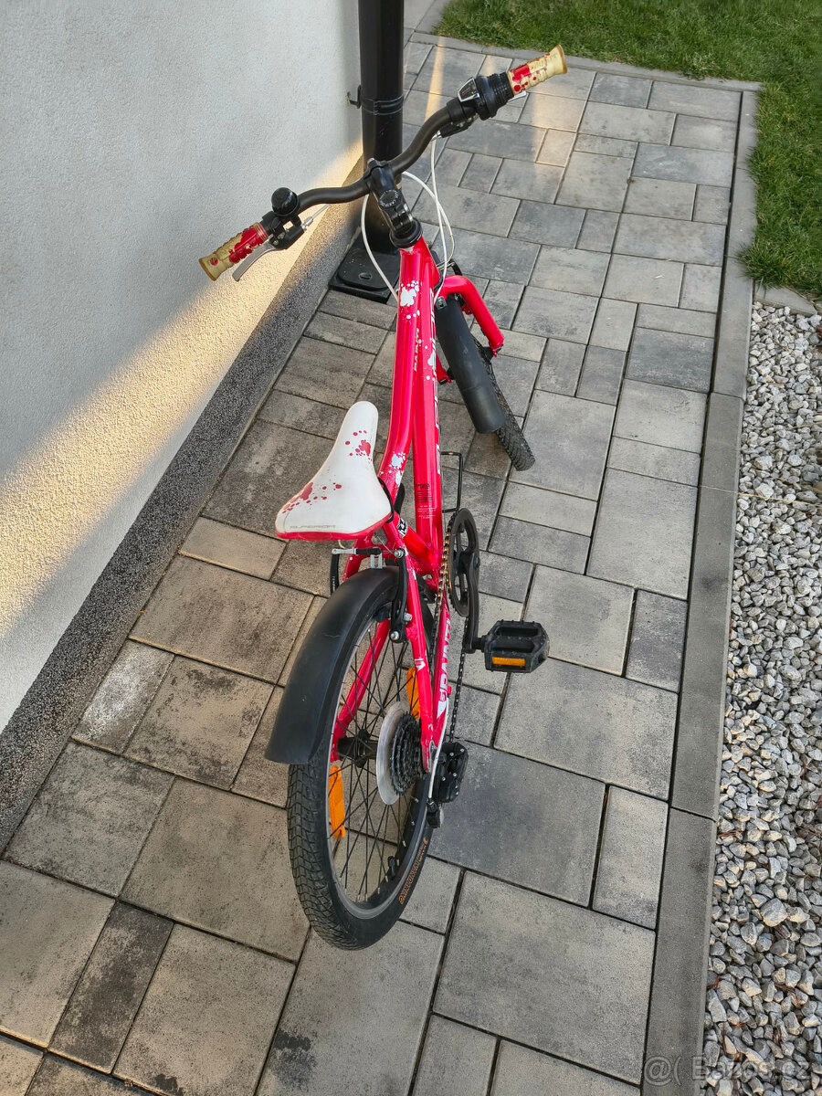 Dětské kolo Superior paint 20 - 3