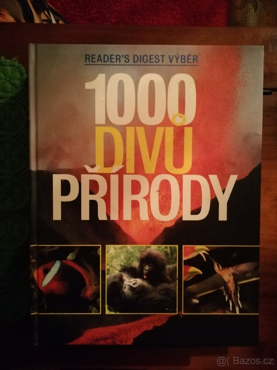 Po prohlídce ležící - 3