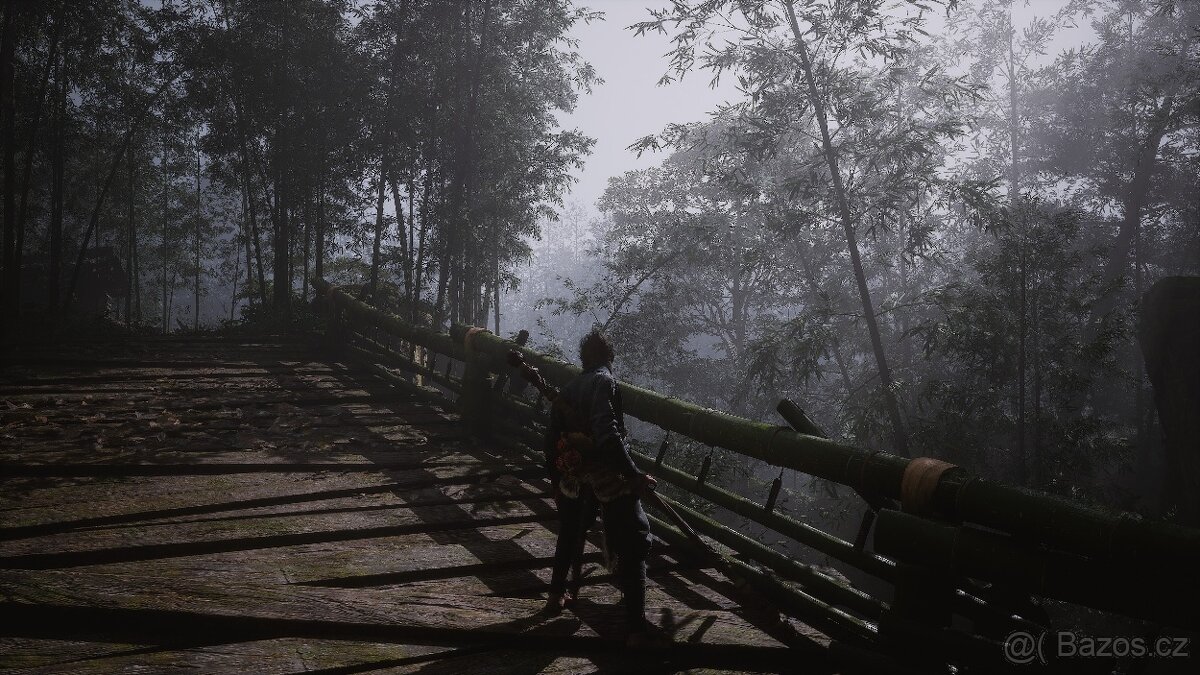 Black Myth: Wukong - Steam key - 3