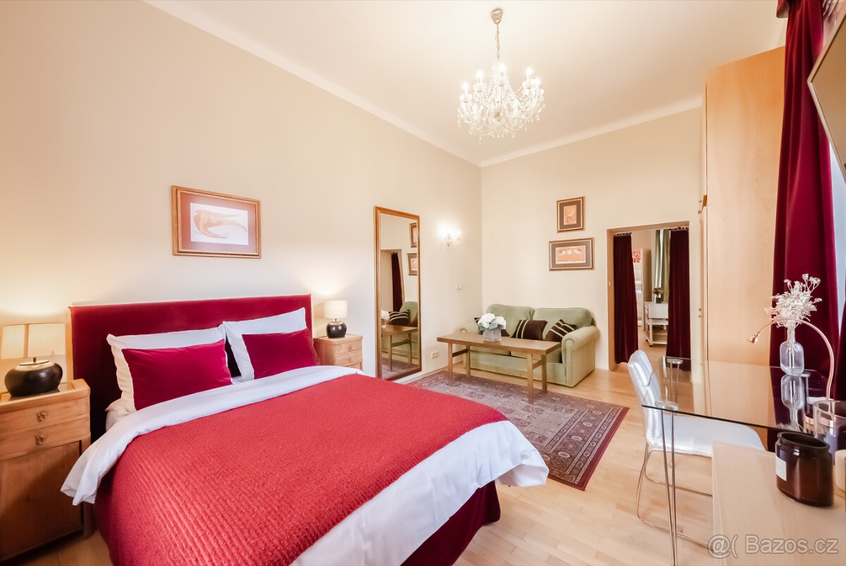 Pronájem bytu 1+1, Praha-1, 45 m² bez realitky - 3