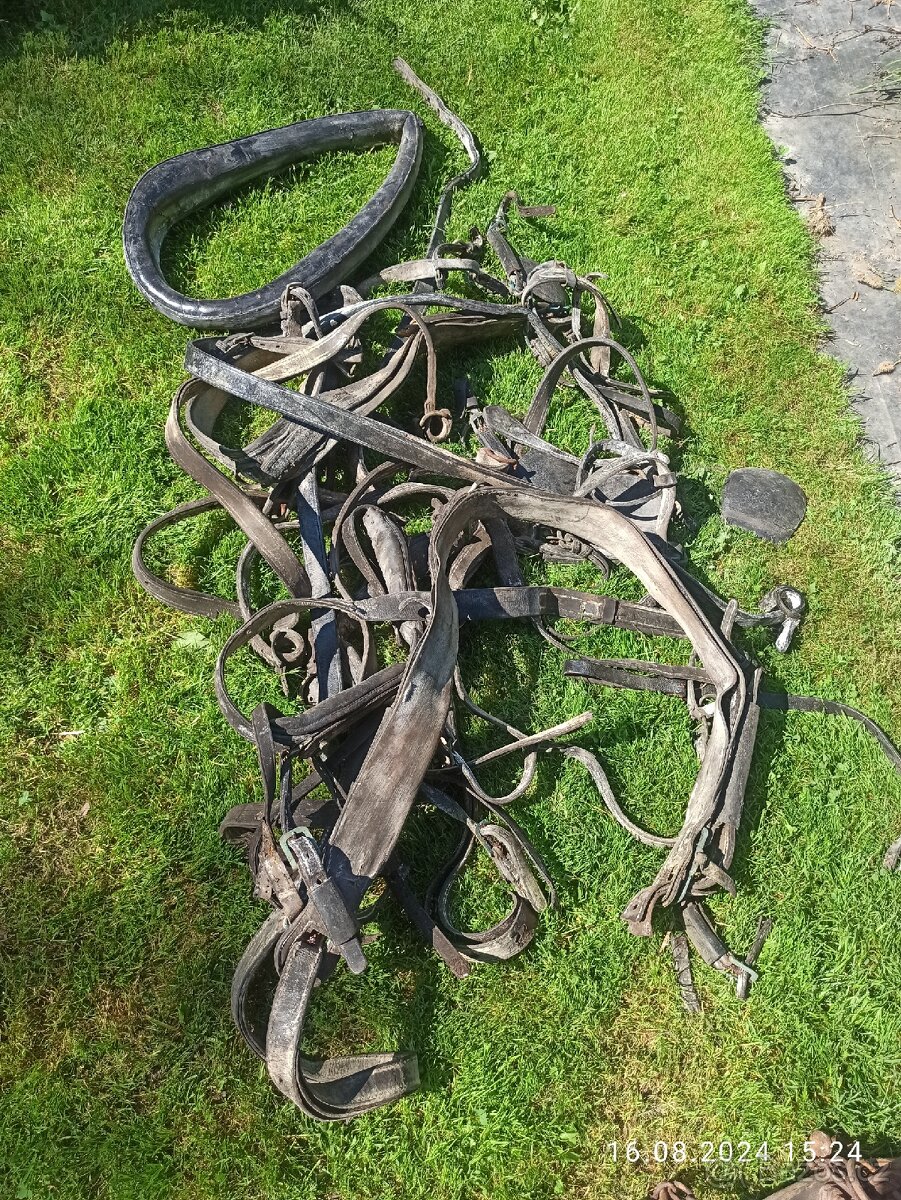 Postroje na koně - 3